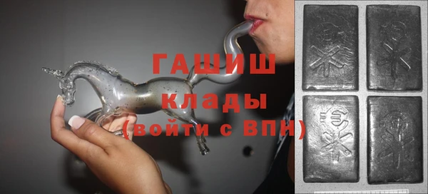 гашик Дмитров