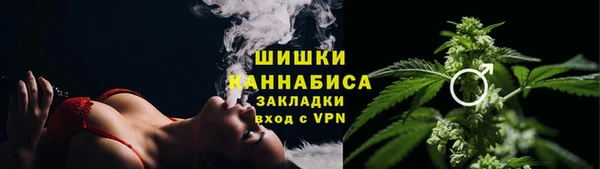мяу мяу мука Гусь-Хрустальный
