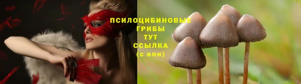 MDMA Premium VHQ Дмитриев