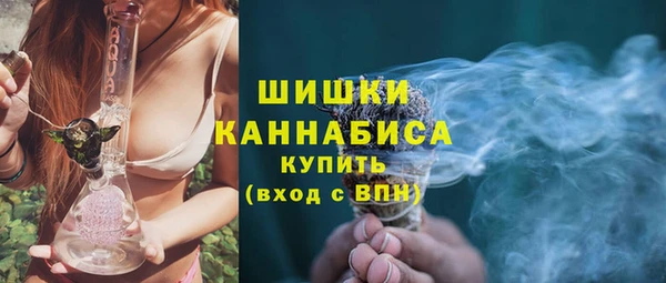 гашик Дмитров